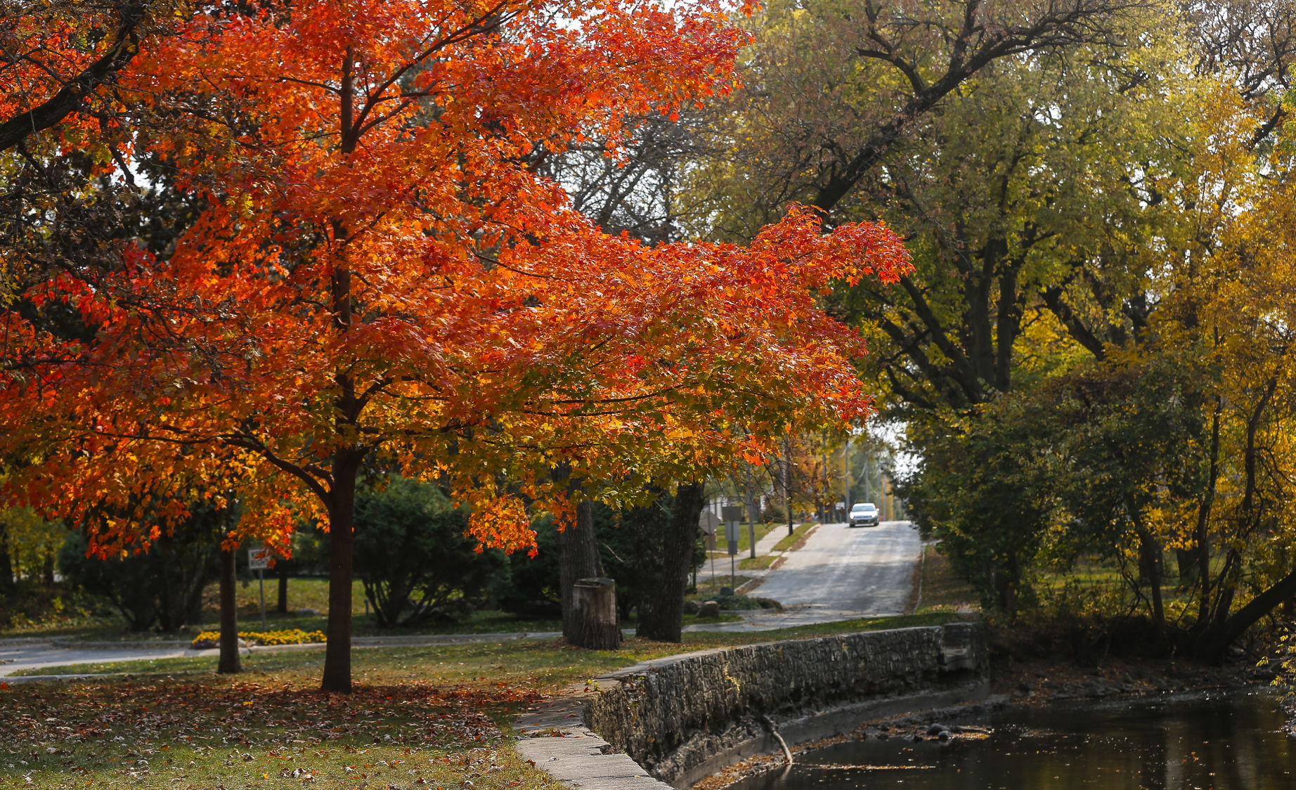 Fall Colors 12